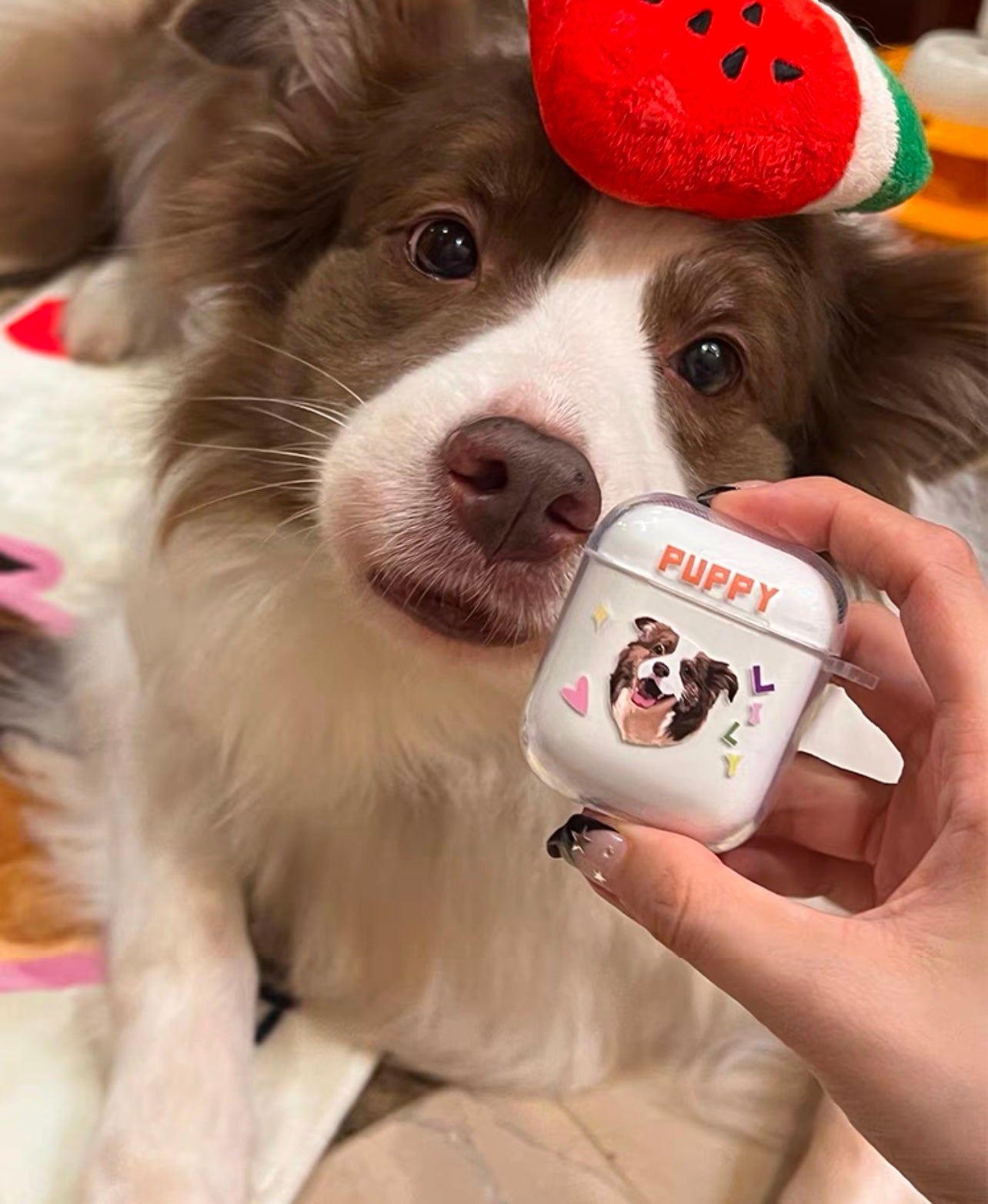 Custom  pet AirPods Case