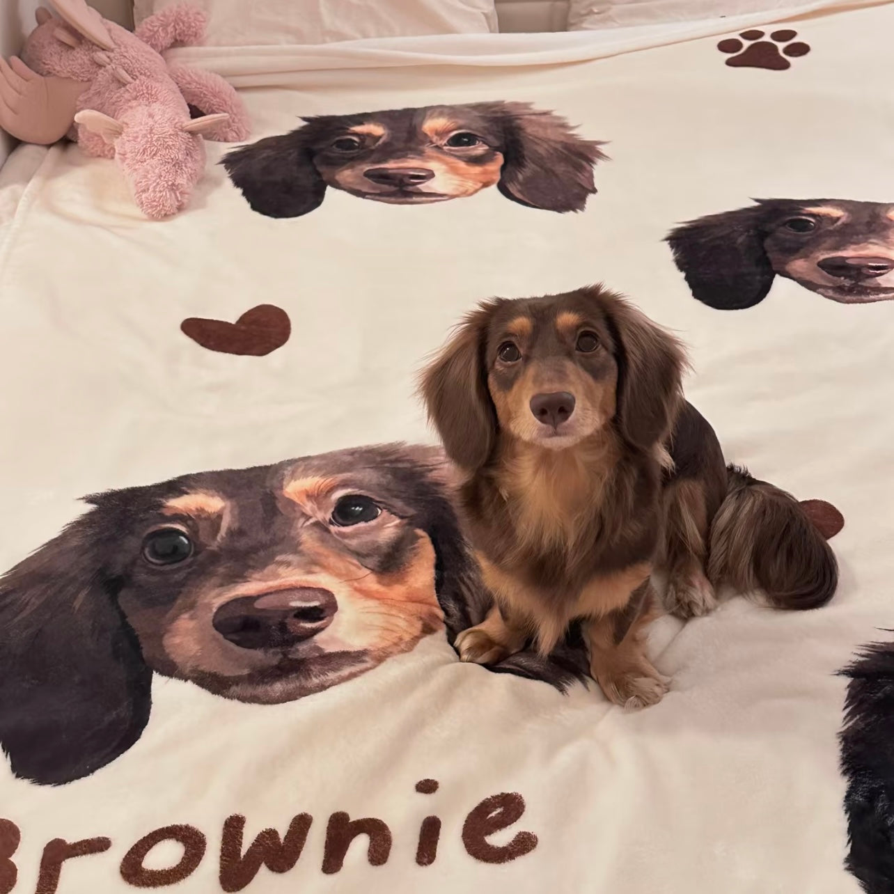 Custom Pet Bedding Set