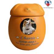 Custom pet urns